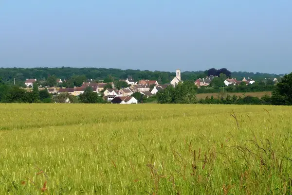 Monte Escalier 14 Entreprise monte escalier La Hoguette